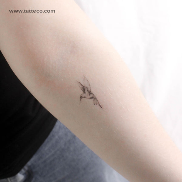 Small Fine Line Hummingbird Temporary Tattoo - Set of 3