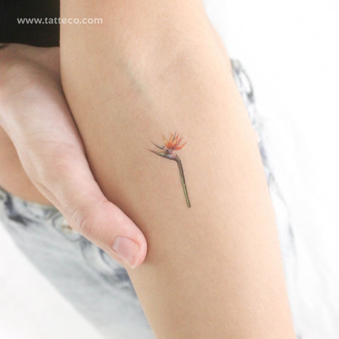 Small Watercolor Strelitzia Temporary Tattoo - Set of 3