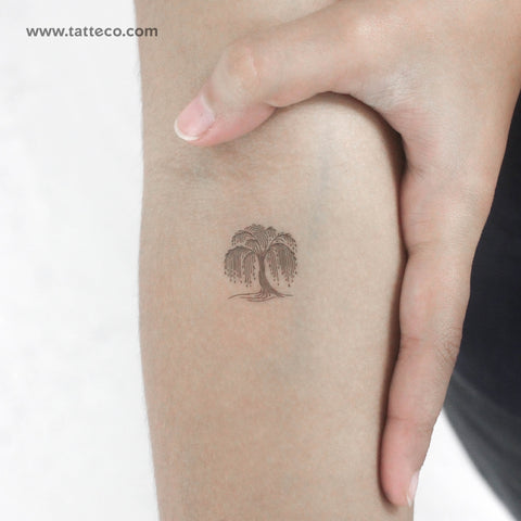 Minimalist Weeping Willow Temporary Tattoo - Set of 3