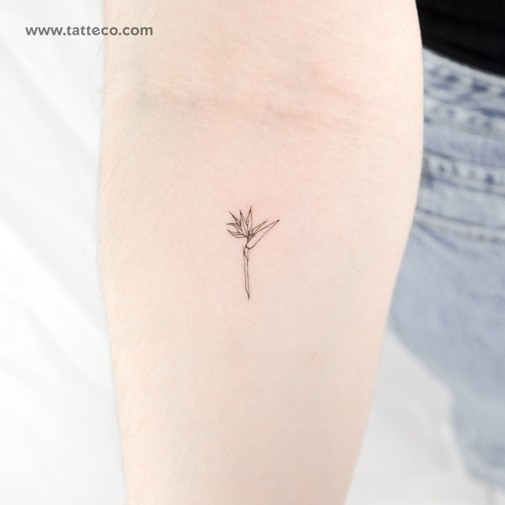 Bird of Paradise Strelitzia Temporary Tattoo - Set of 3