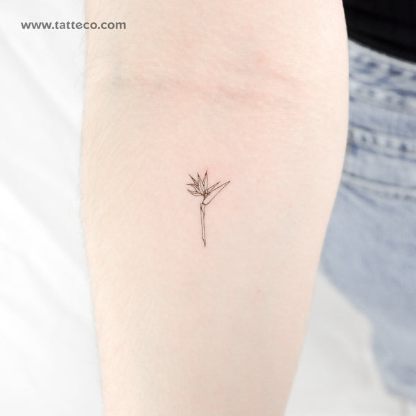 Bird of Paradise Strelitzia Temporary Tattoo - Set of 3