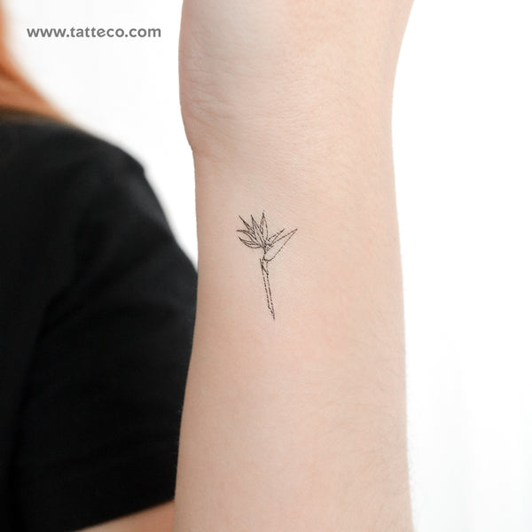 Bird of Paradise Strelitzia Temporary Tattoo - Set of 3