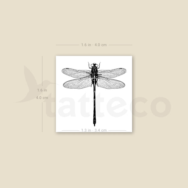 Small Illustrative Dragonfly Temporary Tattoo - Set of 3