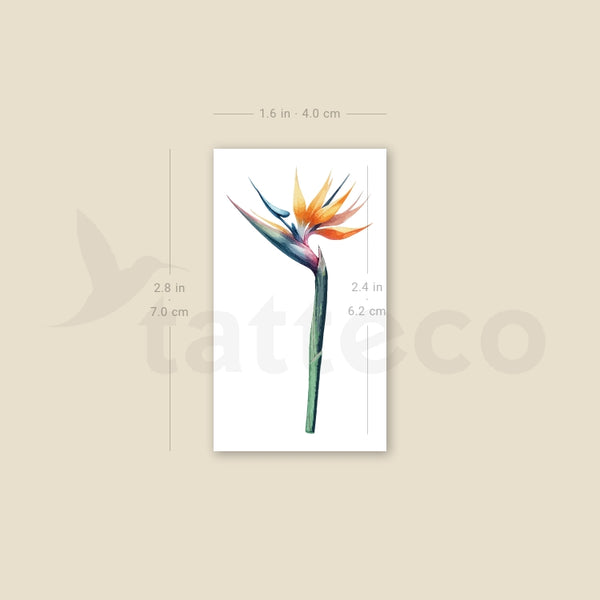 Watercolor Bird Of Paradise Temporary Tattoo - Set of 3