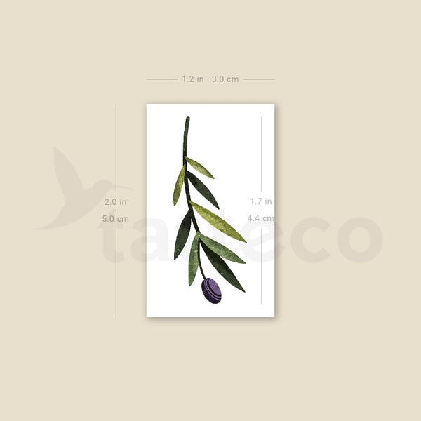 Small Olive Branch By Ann Lilya Temporary Tattoo - Set of 3