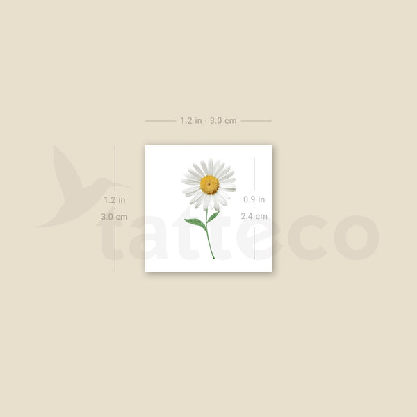 Small Daisy Temporary Tattoo - Set of 3