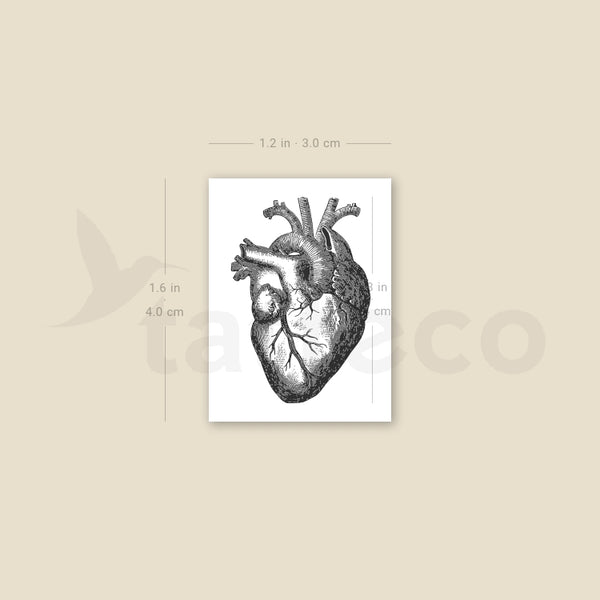 Engraving Anatomical Heart Temporary Tattoo - Set of 3