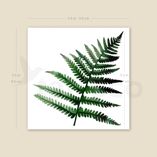 Fern Frond By Ann Lilya Temporary Tattoo - Set of 3