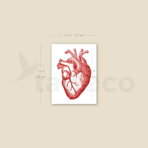 Red Anatomical Heart Temporary Tattoo - Set of 3