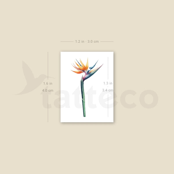 Small Watercolor Strelitzia Temporary Tattoo - Set of 3