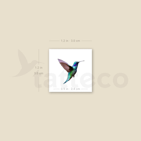 Realistic Hummingbird Temporary Tattoo - Set of 3