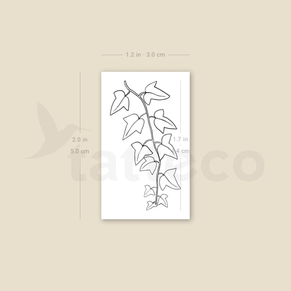 Common Ivy Plant Temporary Tattoo - Set of 3