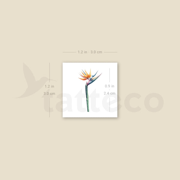 Small Watercolor Bird Of Paradise Temporary Tattoo - Set of 3