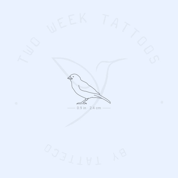 Sparrow Semi-Permanent Tattoo - Set of 2