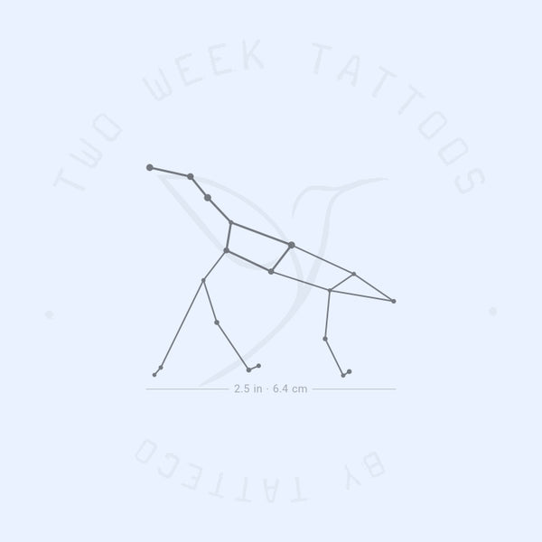 Ursa Major Semi-Permanent Tattoo - Set of 2