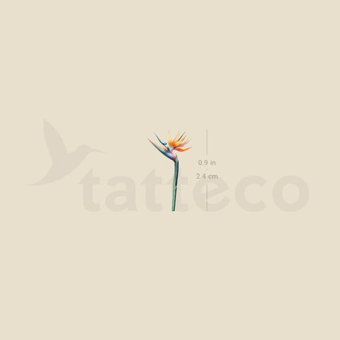 Small Watercolor Bird Of Paradise Temporary Tattoo - Set of 3