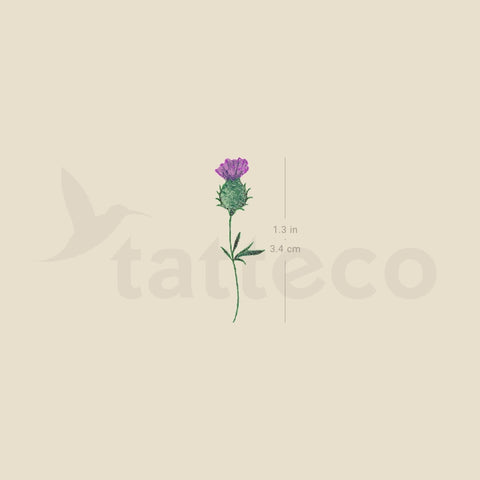 Thistle Temporary Tattoo - Set of 3