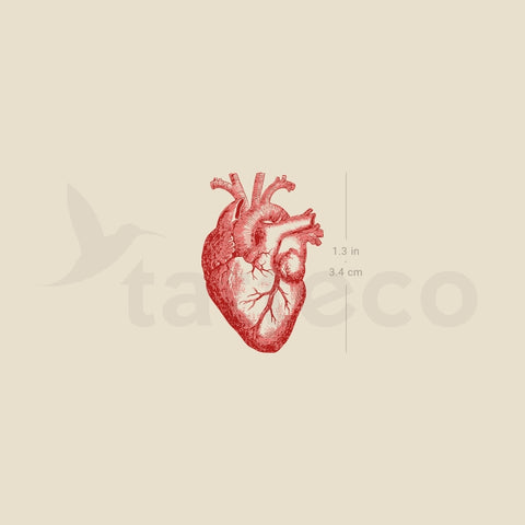 Red Anatomical Heart Temporary Tattoo - Set of 3
