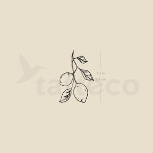 Lemon Branch Temporary Tattoo - Set of 3