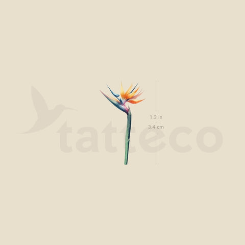 Small Watercolor Strelitzia Temporary Tattoo - Set of 3